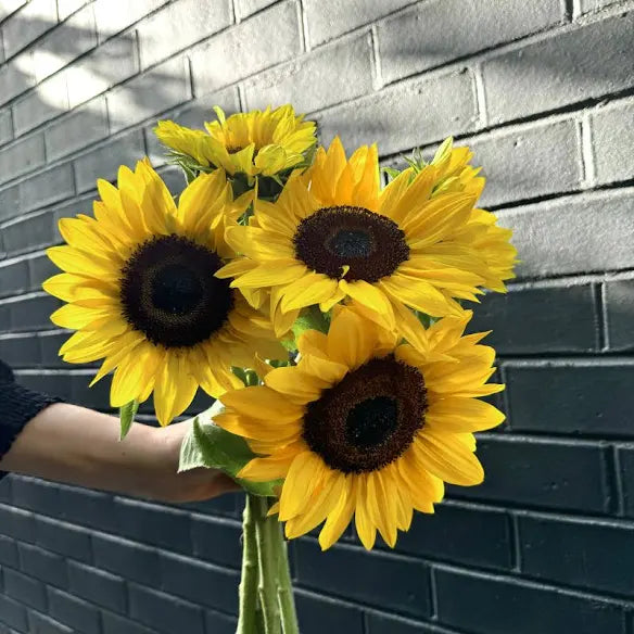Bunch of Sunflowers