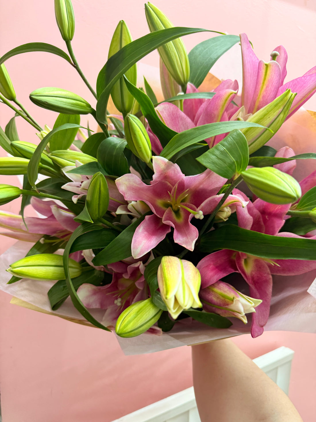 Pink Oriental Lillies