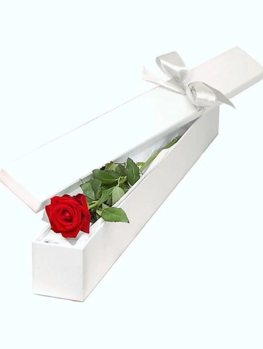 Single Stem Rose
