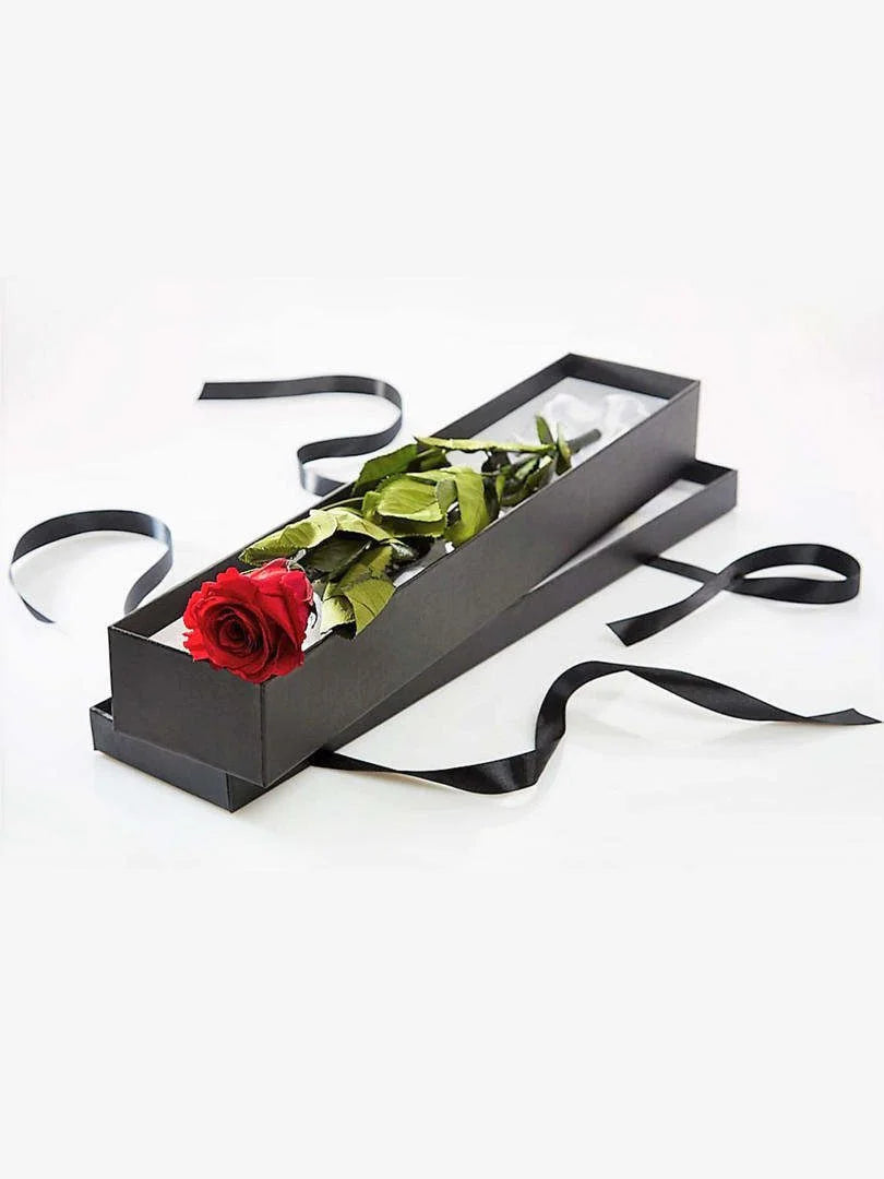 Single Red Rose Box