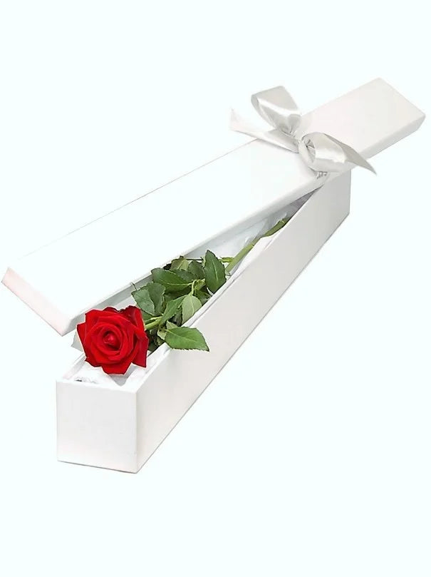Single Red Rose Box